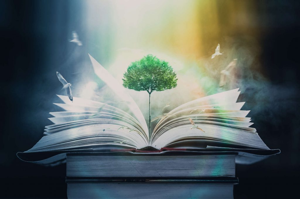 La literatura, un buen medio para concienciar a las empresas sobre la necesidad de apostar por el cuidado del medio ambiente